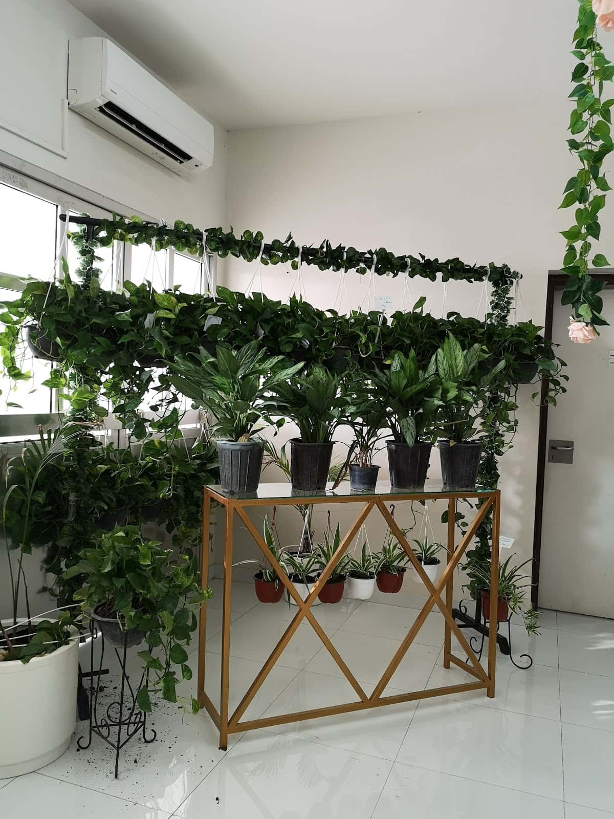 Um Saad Al-Ansariya School - Seeb, Muscat - School in Oman