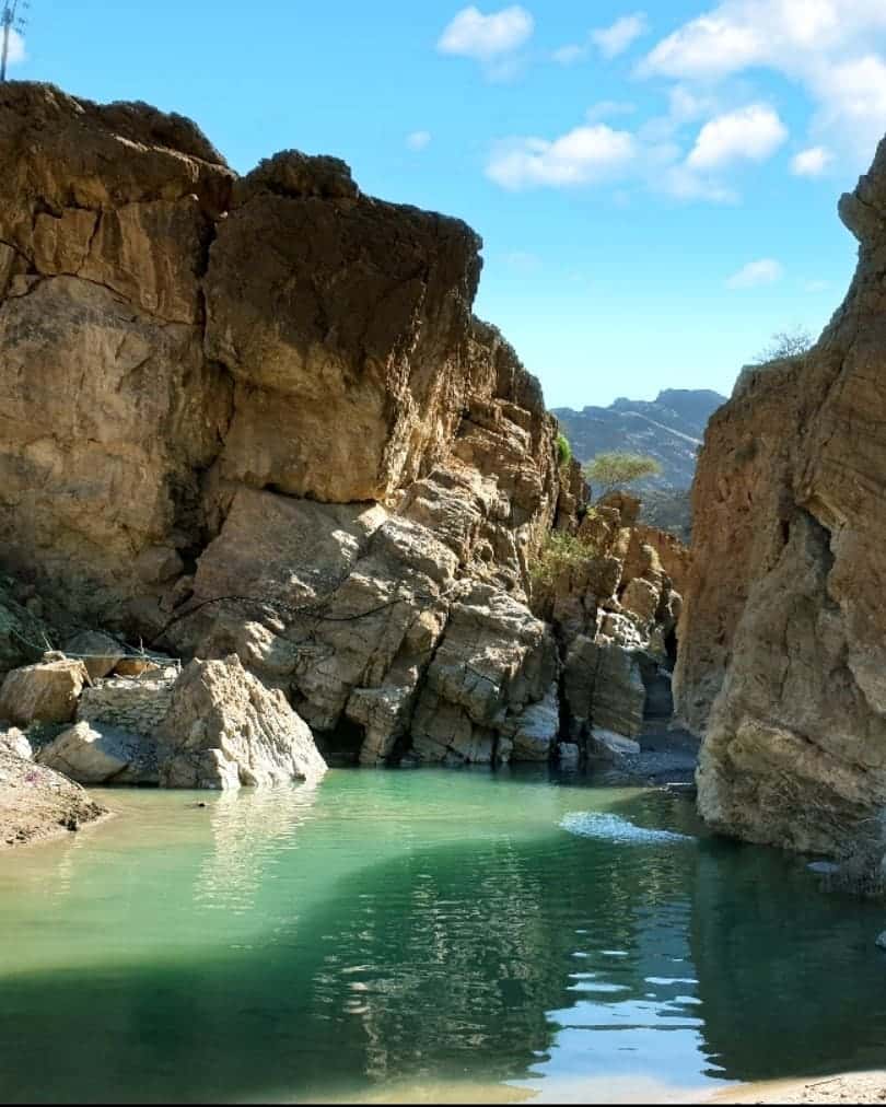 Wadi Bani Omar School - Saham, Al Batinah North - School in Oman