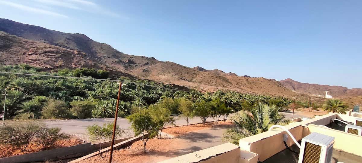 Al-Baraa' Bin Malik School - Al Rustaq, Al Batinah South - School in Oman