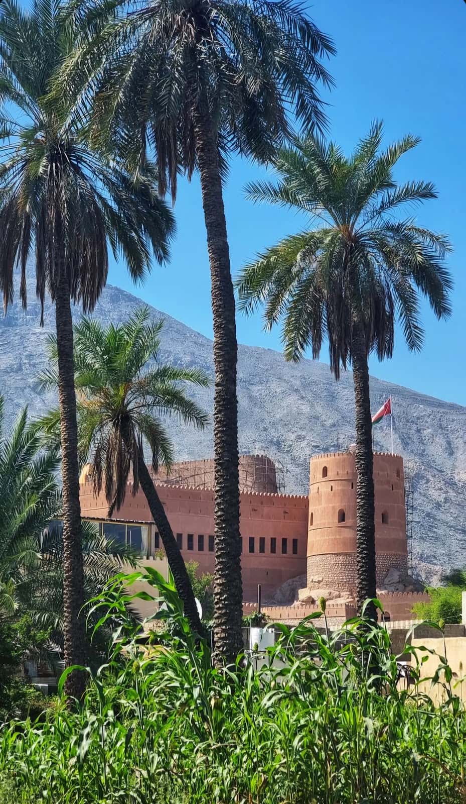 Sini School - Al Rustaq, Al Batinah South - School in Oman