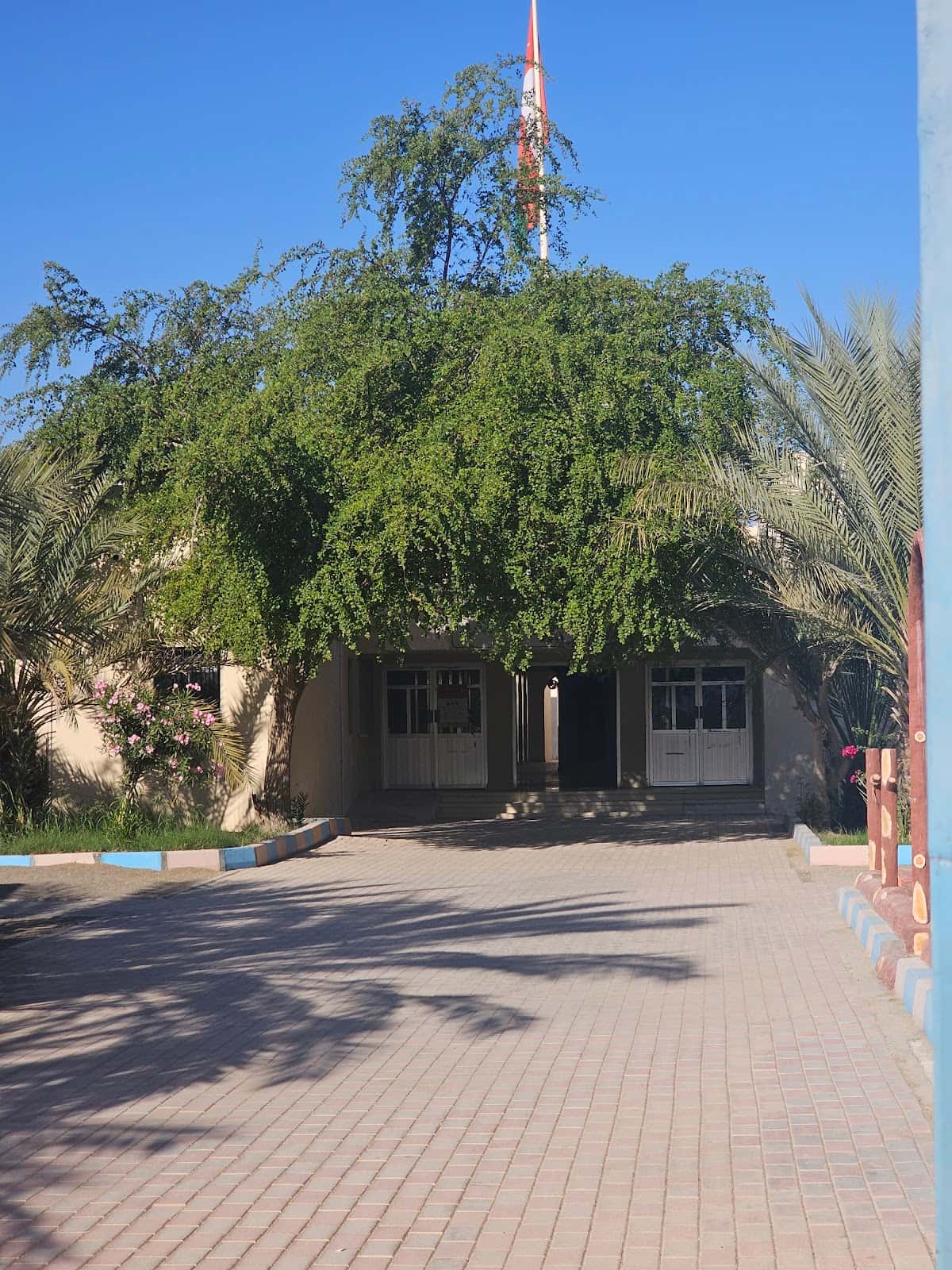 Tareq Bin Zeyad Basic School - Dhank, Al Dhahirah - School in Oman