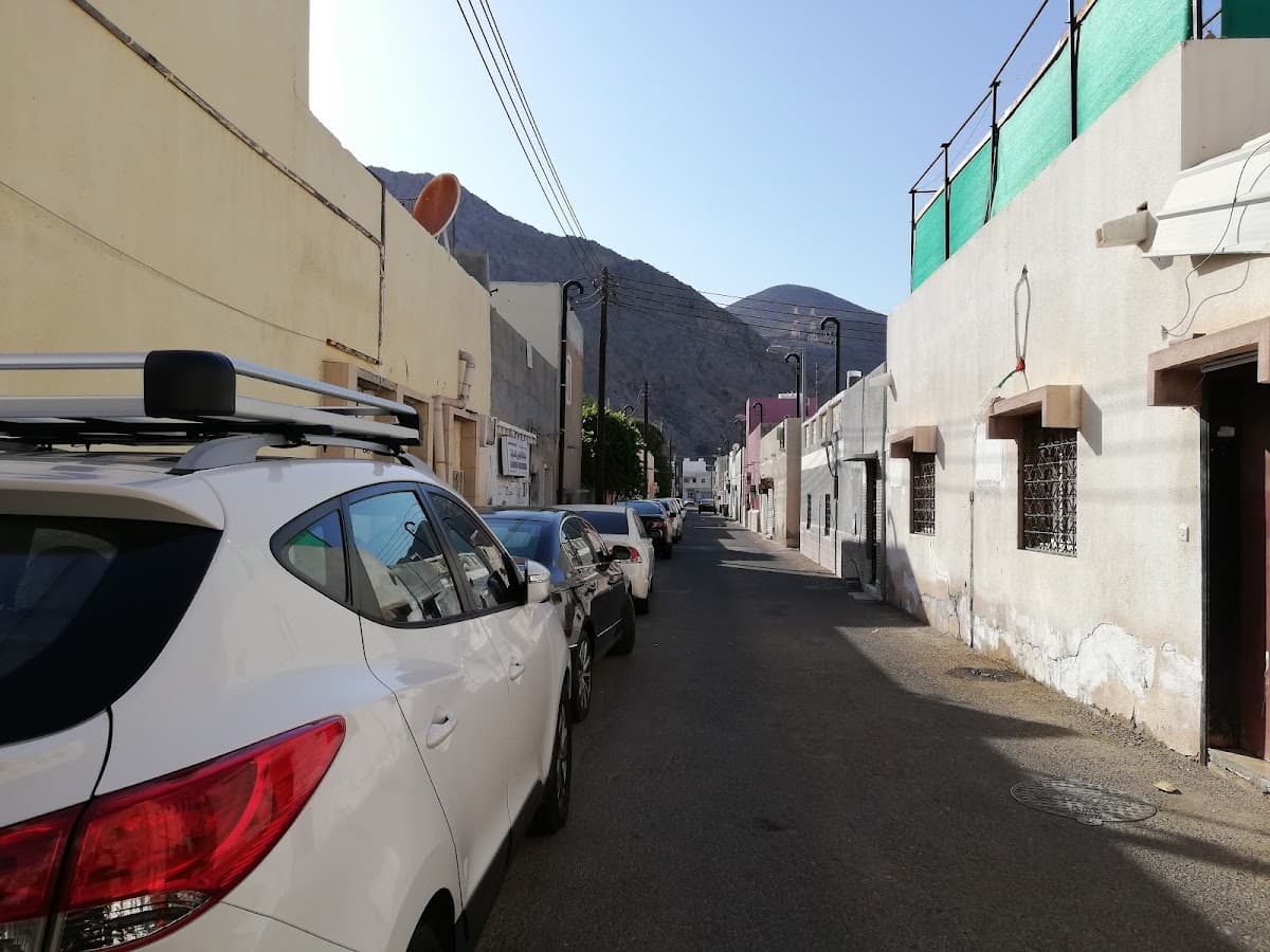 Wadi Adey For Primary Education - Photo 3 of 3