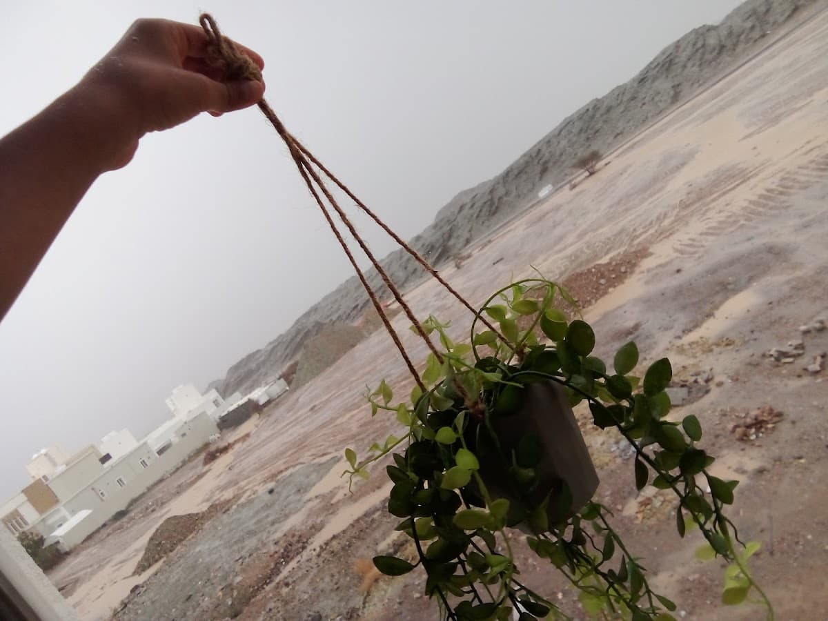 Atamayaz School - Photo 3 of 3