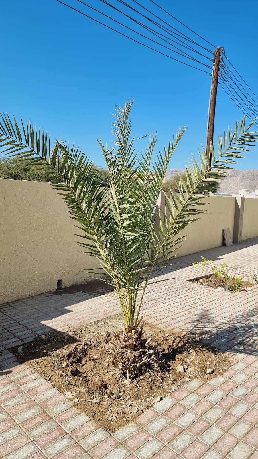 Abdullah Bin Salam School - Photo 1 of 3