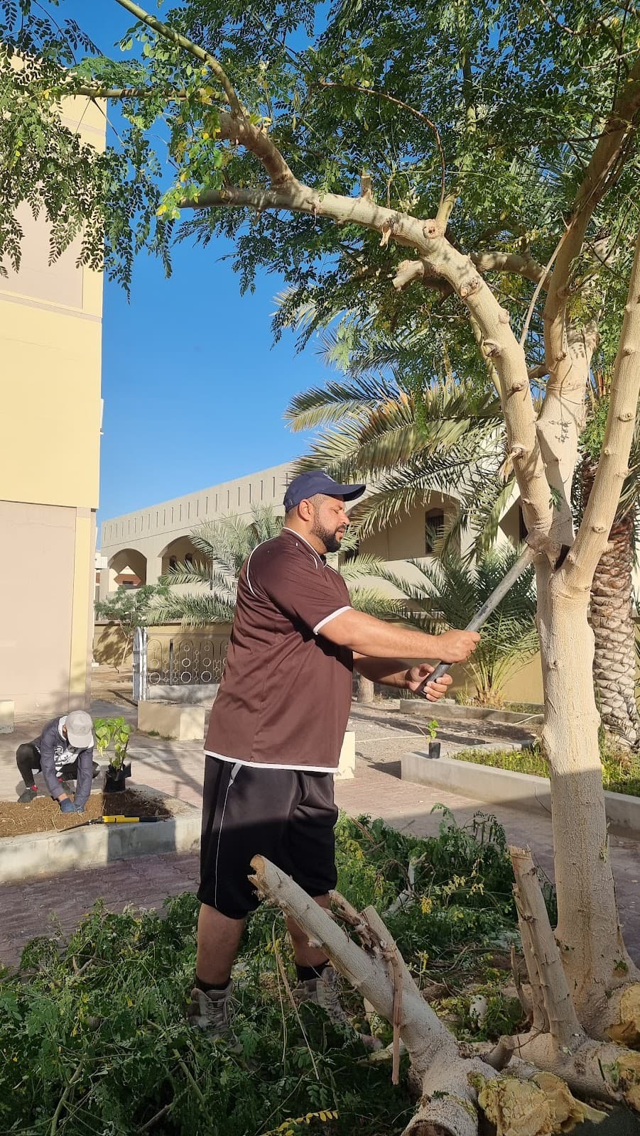 Al-Nabaa For Primary Education - Photo 2 of 3