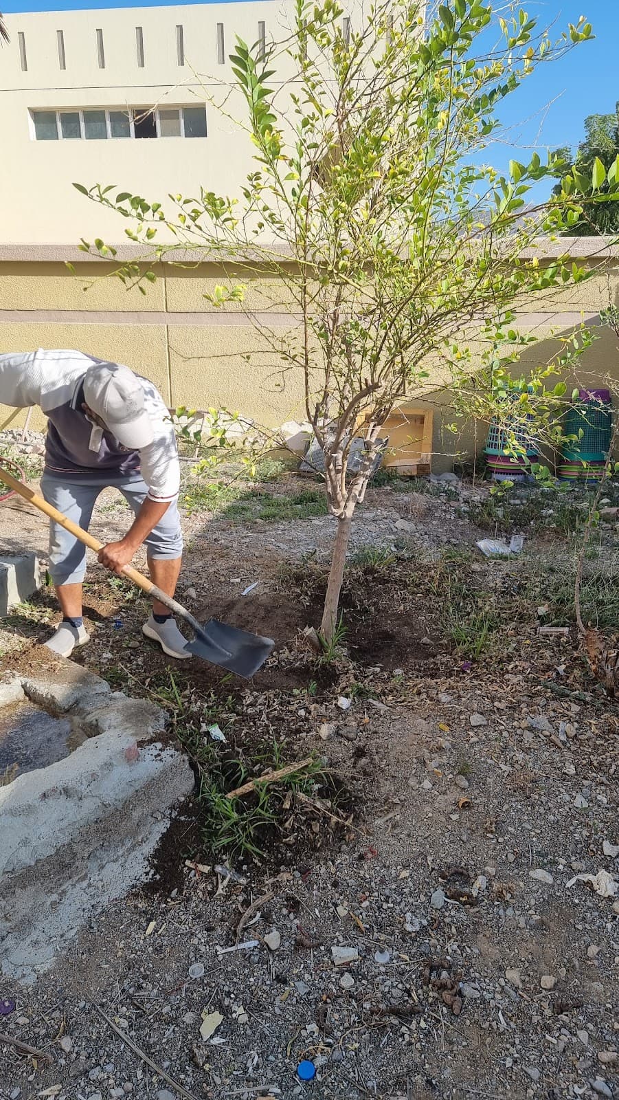 Al-Nabaa For Primary Education - Photo 4 of 3