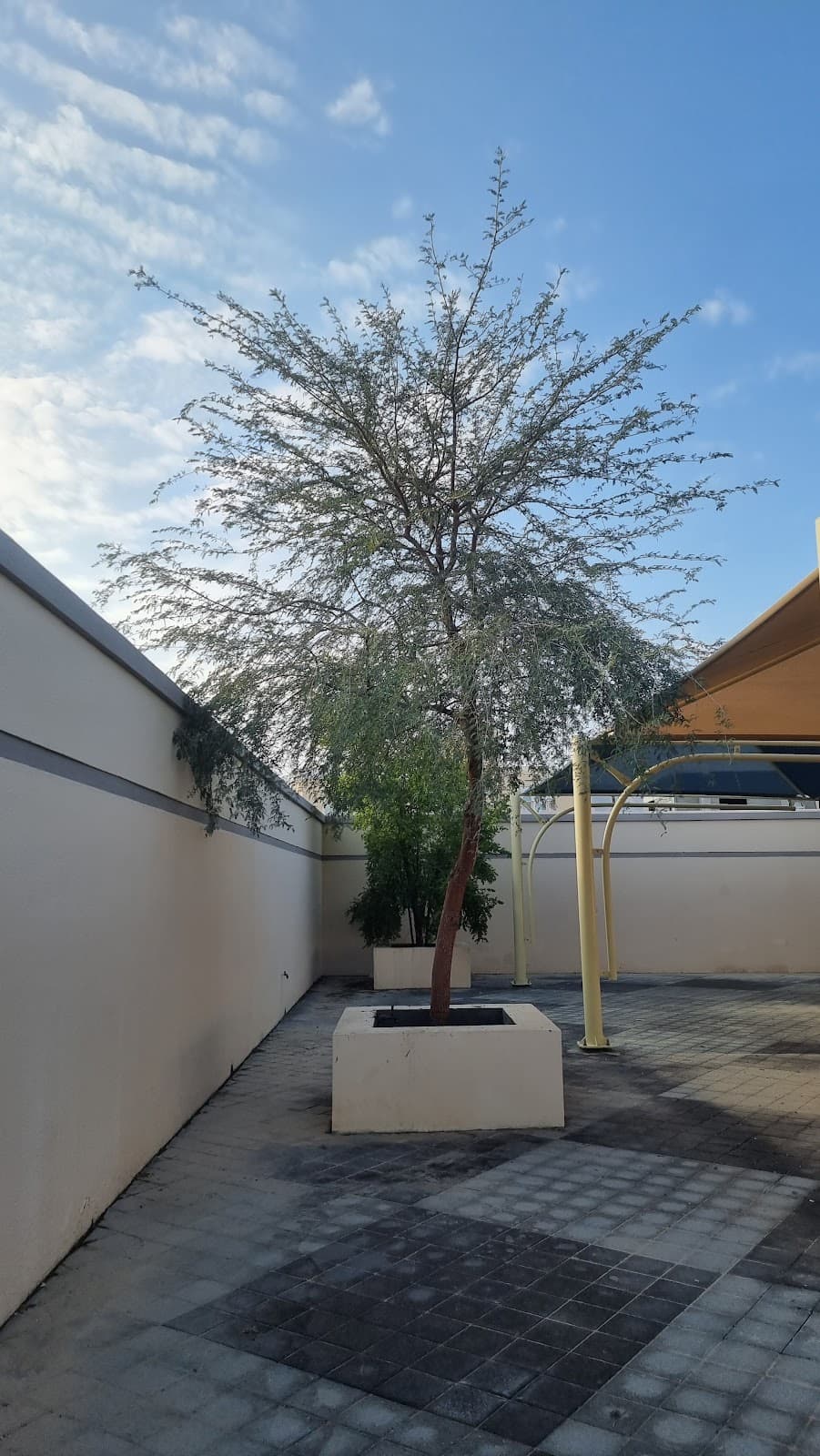 Ajyal Muscat For Primary Education - Photo 2 of 3