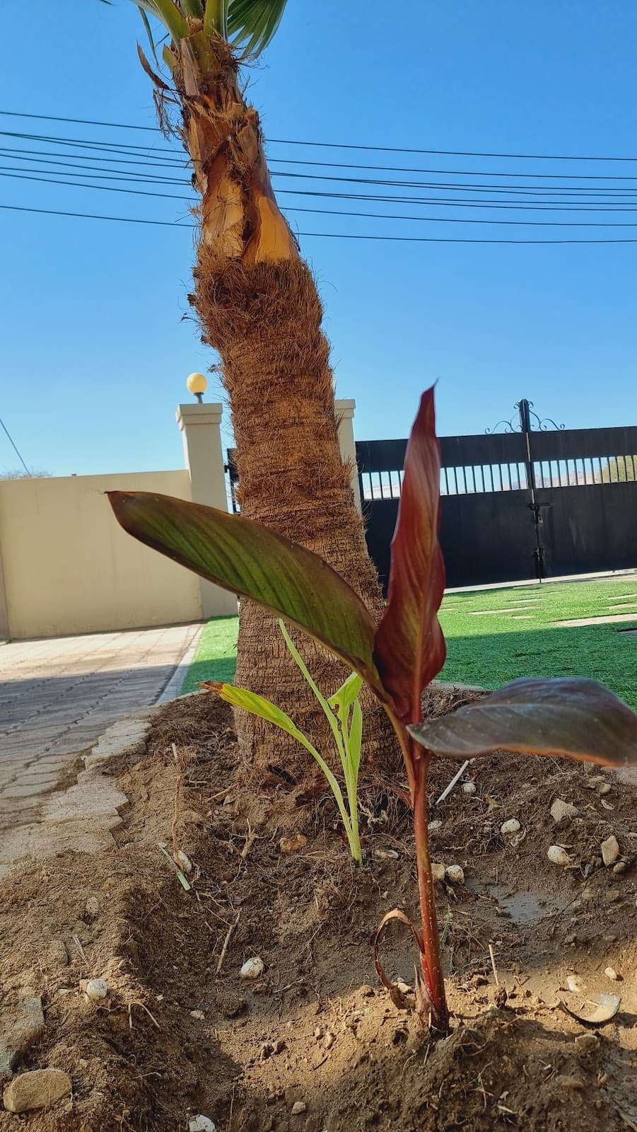 Raya Abdullah Kalfan Albimaniya School - Photo 3 of 3