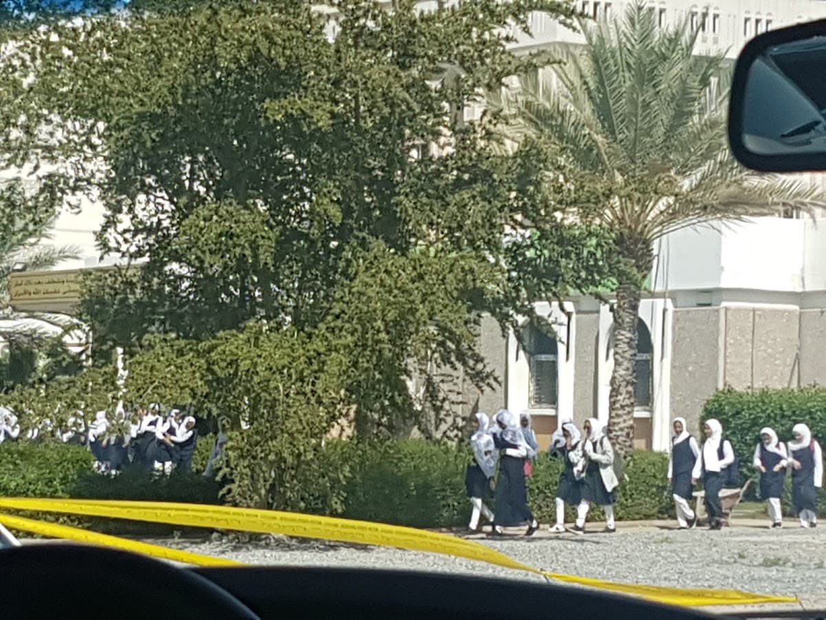 Dauhat Al-Adab School - Photo 3 of 3