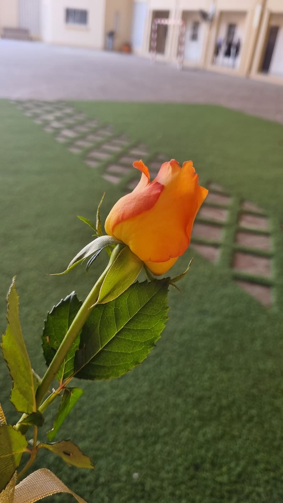 Al-Gafnin For Primary Education - Photo 2 of 1