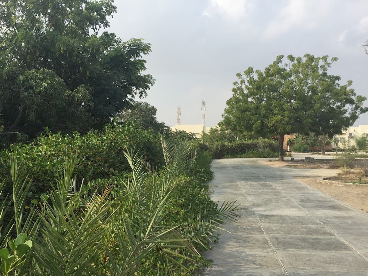 Al-Sheikh Mohammed Bin Shames Al-Batashi For Primary Education - Photo 2 of 1