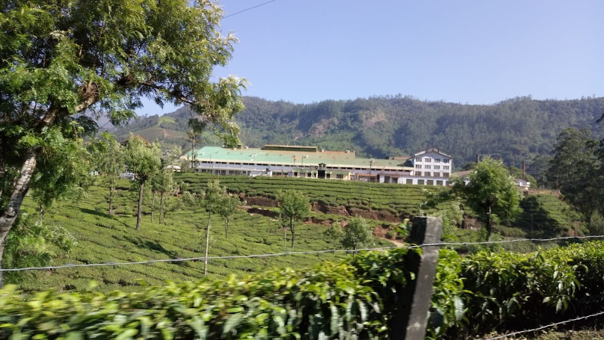 Hay Al- Thaher School - School Building