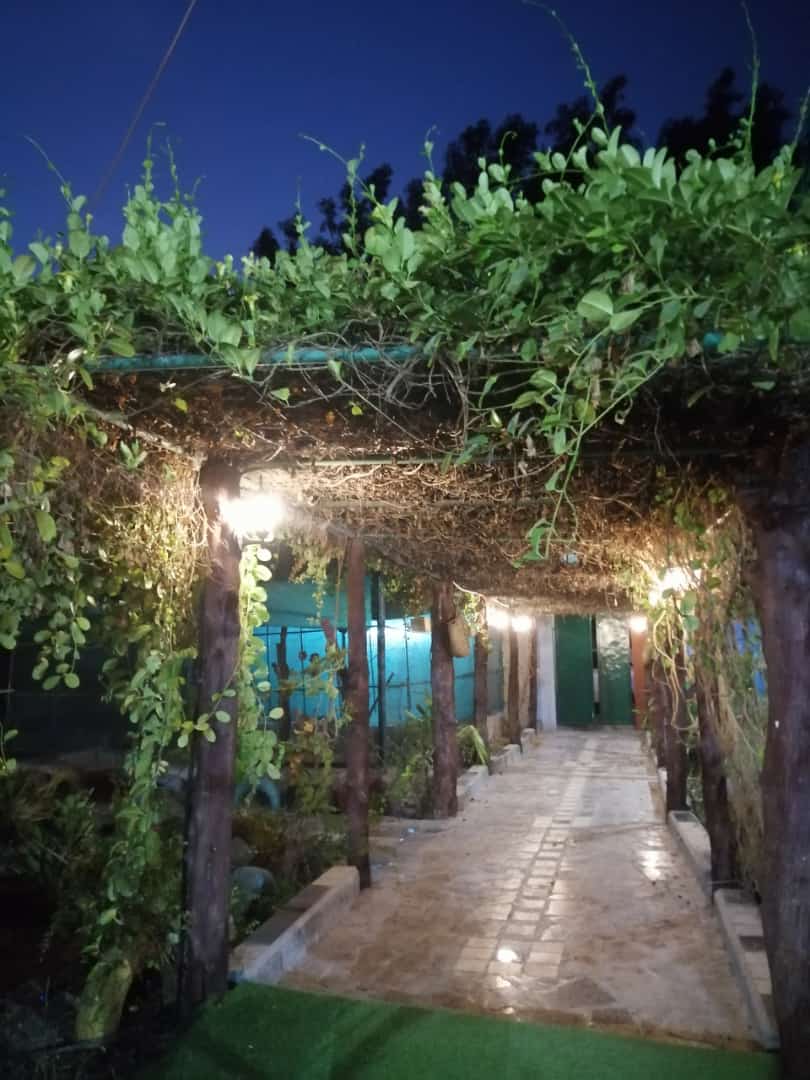 Hay Al- Thaher School - Photo 3 of 3