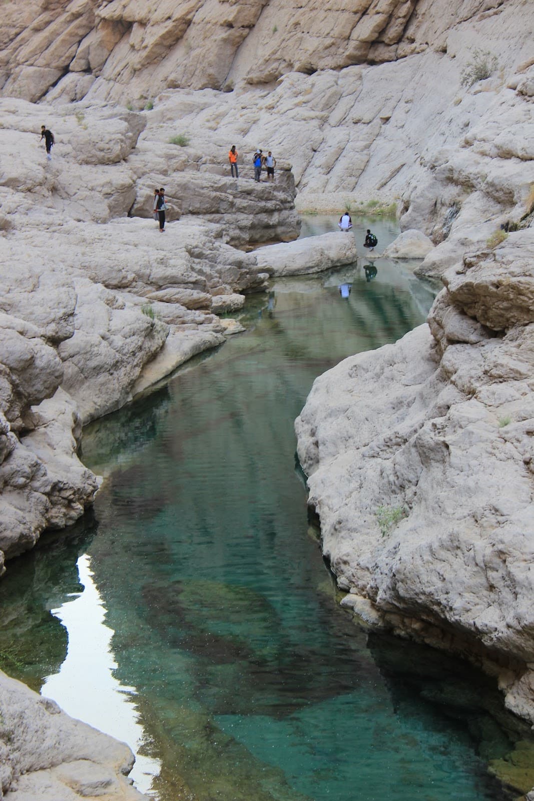 Wadi Al-Arbeeien School - Photo 1 of 3