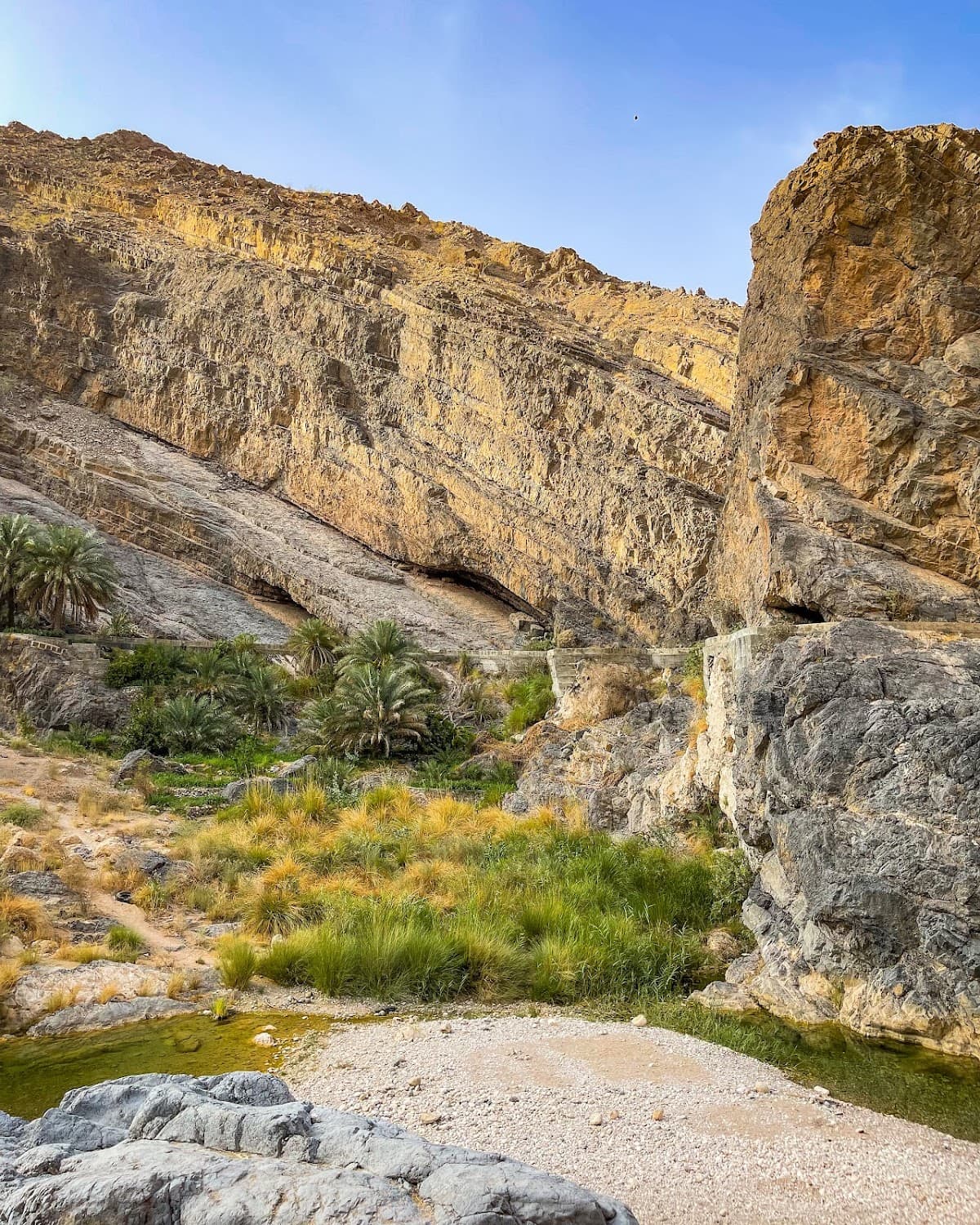 Wadi Al-Arbeeien For Primary Education - Photo 4 of 3