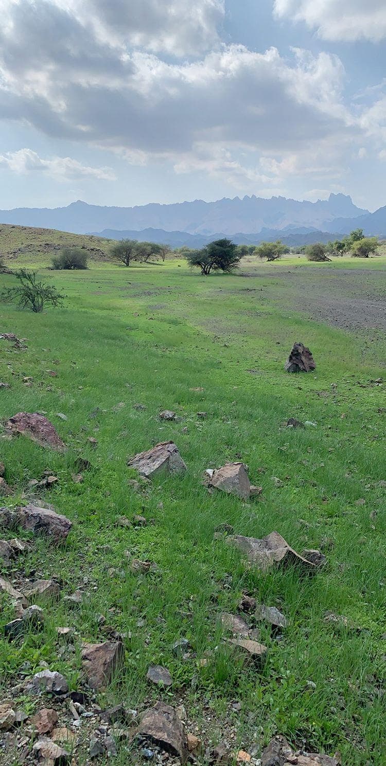 Wadi Bani Omar School - Photo 1 of 3