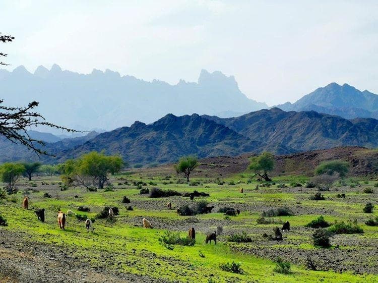 Wadi Bani Omar for Primary Education - Photo 4 of 3
