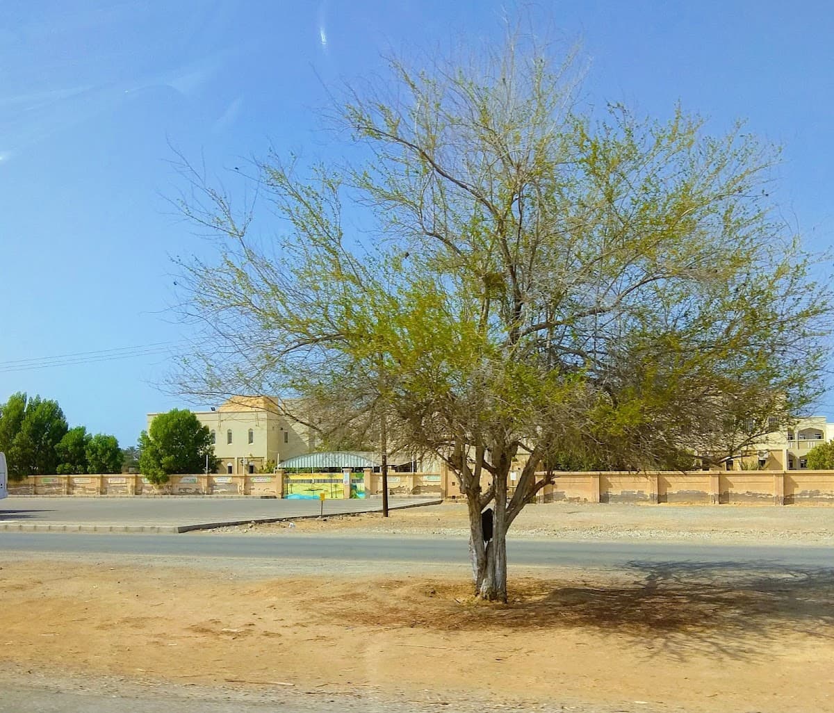 Aljawaher for Primary Education - School Building