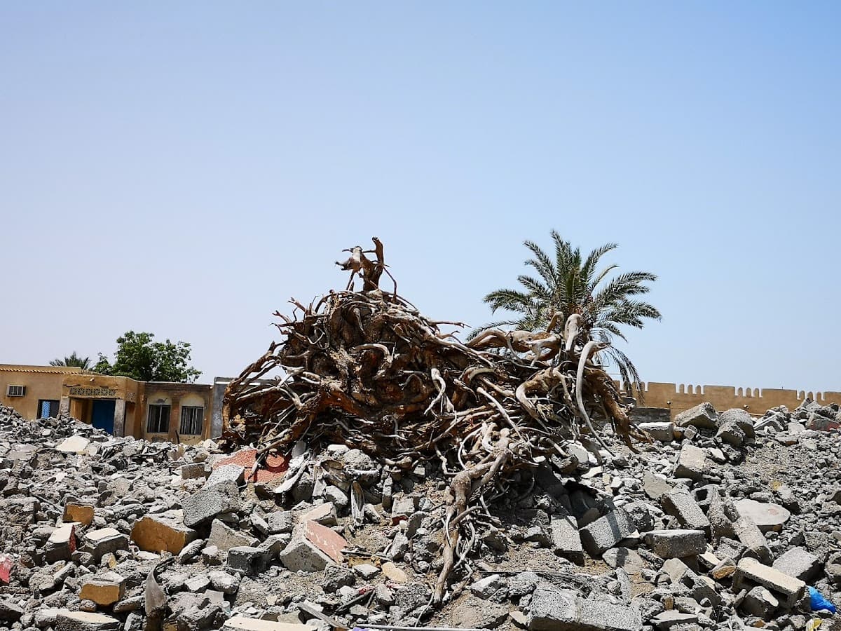 Al-Namarq School - Photo 3 of 3