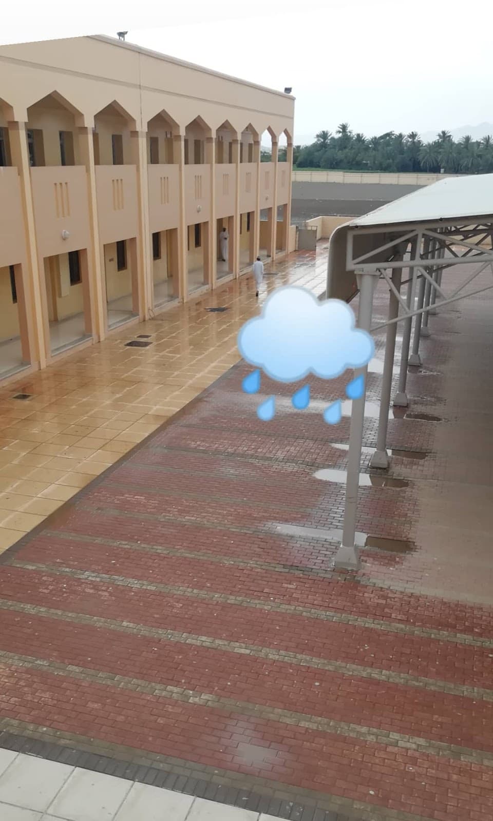 zeiad Bin Almohalab School - Photo 3 of 3