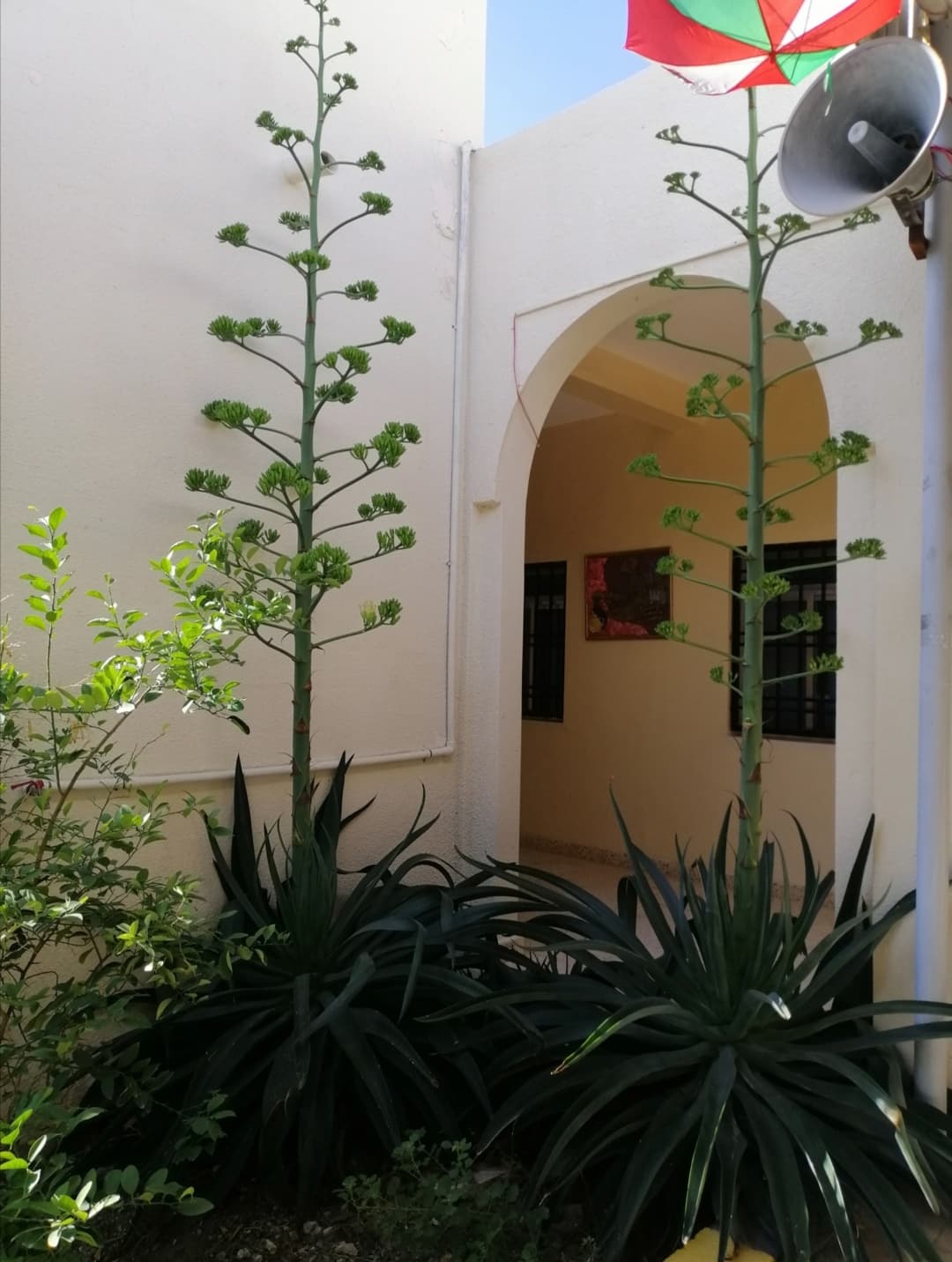 Sea'a School - Photo 1 of 3