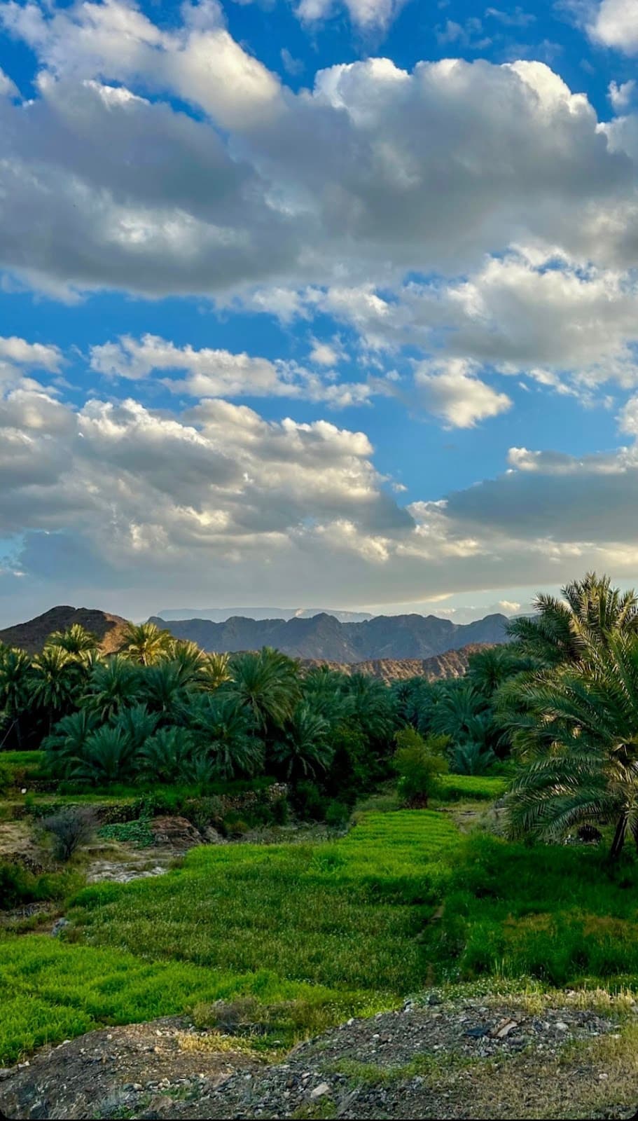 Sea'a School - Photo 3 of 3