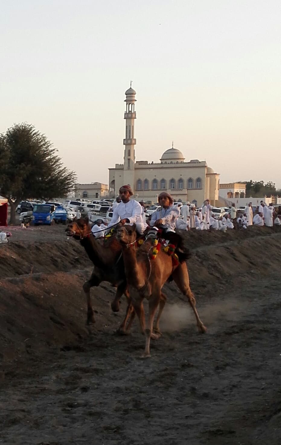 A'Shu'aiba School - Photo 2 of 3