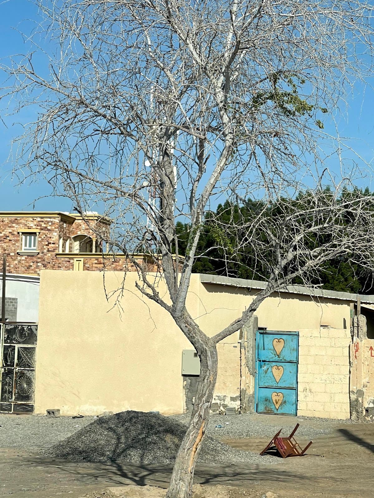 Humoud Bin Azzan Al Busaeedi for Primary Education - Photo 3 of 2