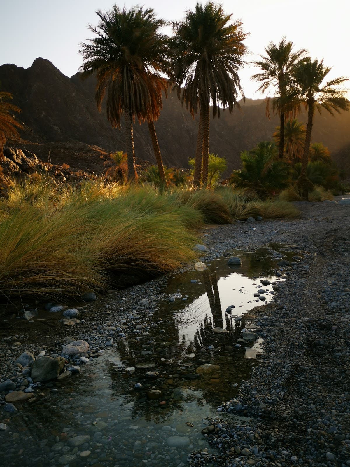 Al Abyadh for Primary Education - Photo 4 of 3