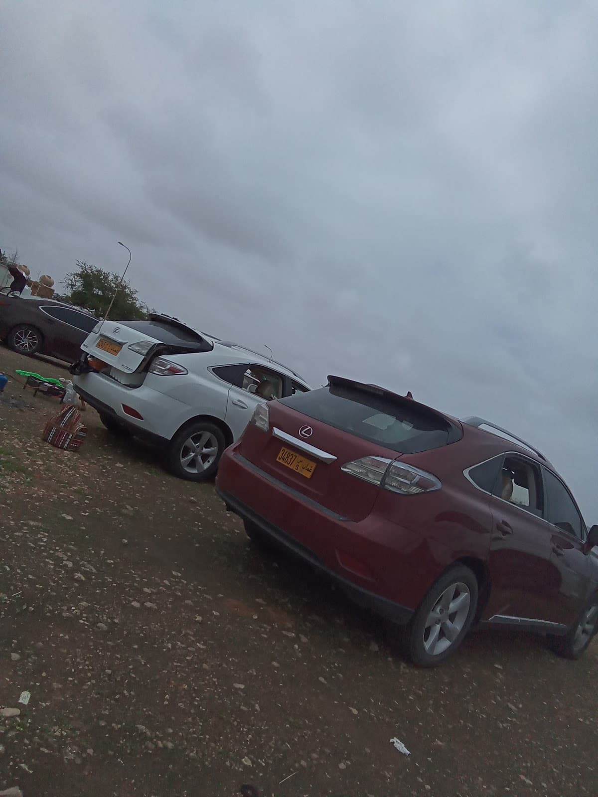 Bahjat Al Elm for Primary Education - Photo 3 of 2