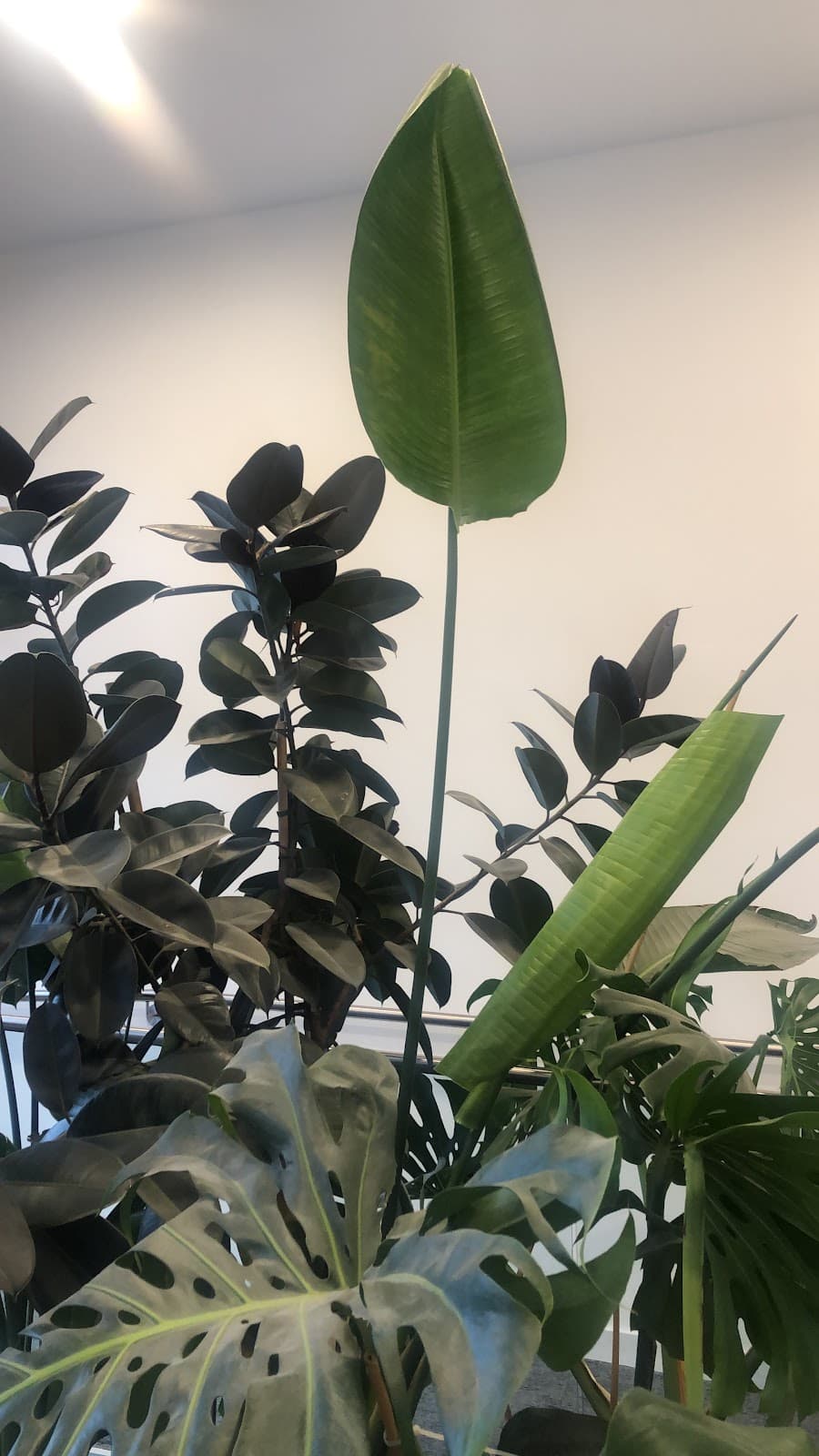 AL Wadahah Bin Oqbah School - Photo 1 of 2