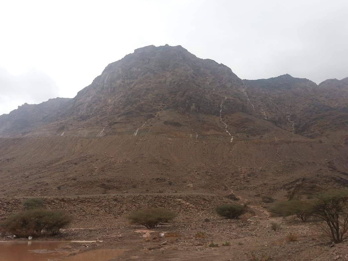 AL Wadahah Bin Oqbah School - Photo 2 of 2