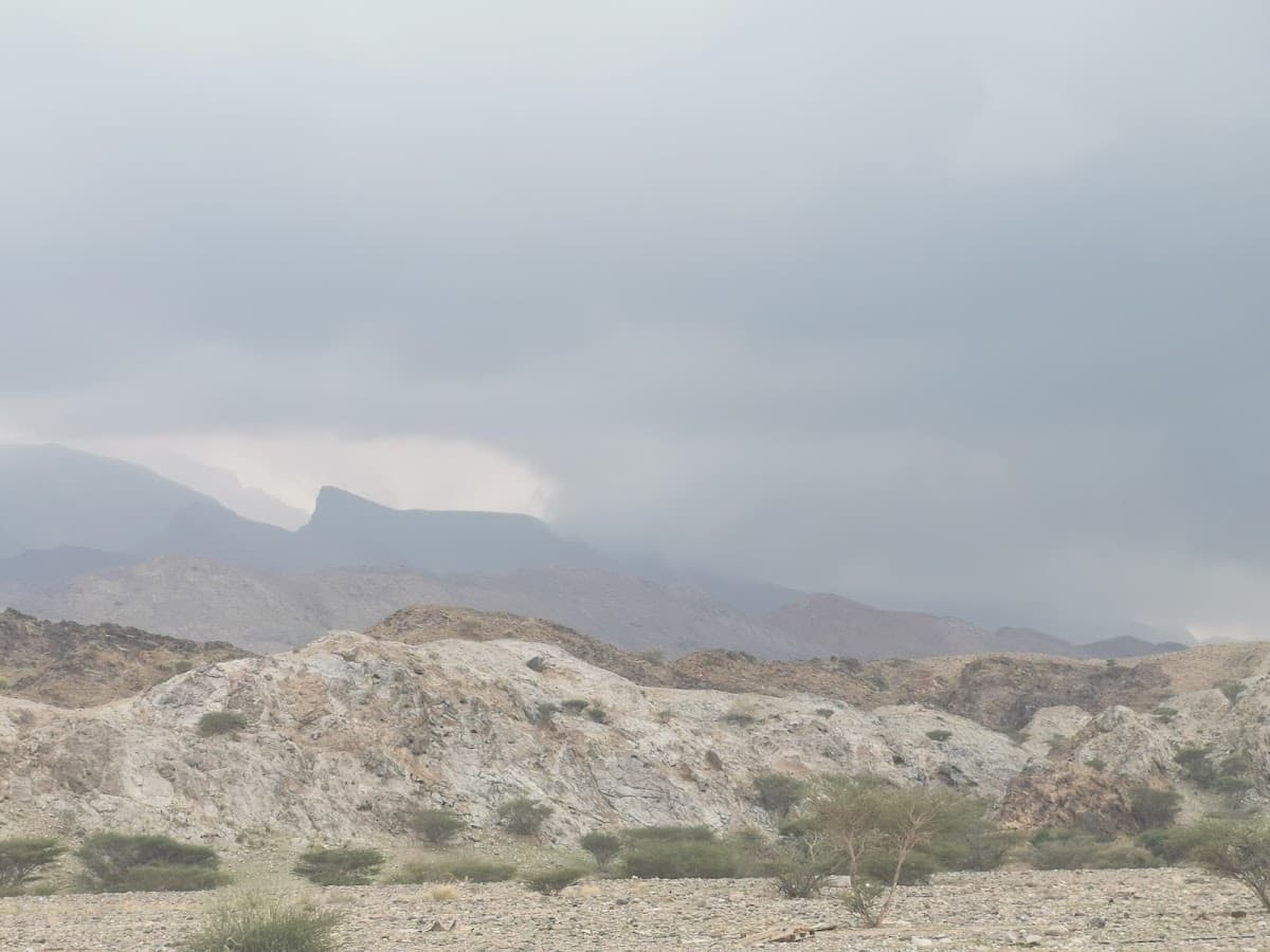 AL Lajal for Primary Education - Photo 2 of 2