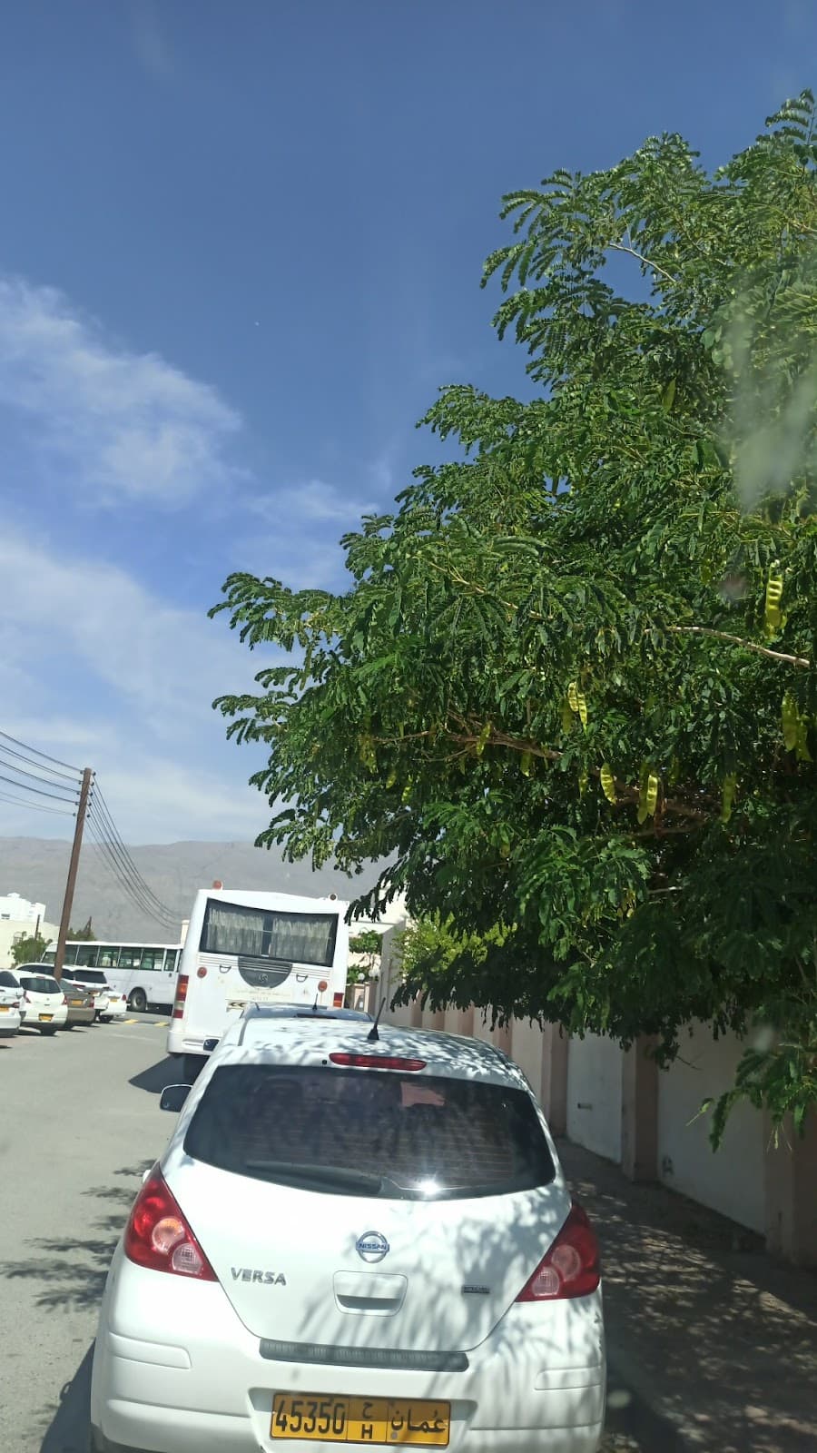 Marfaa Daris For Primary Girls - Photo 4 of 3