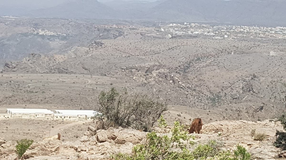 Robooa Al Jabal For Primary - Photo 4 of 3