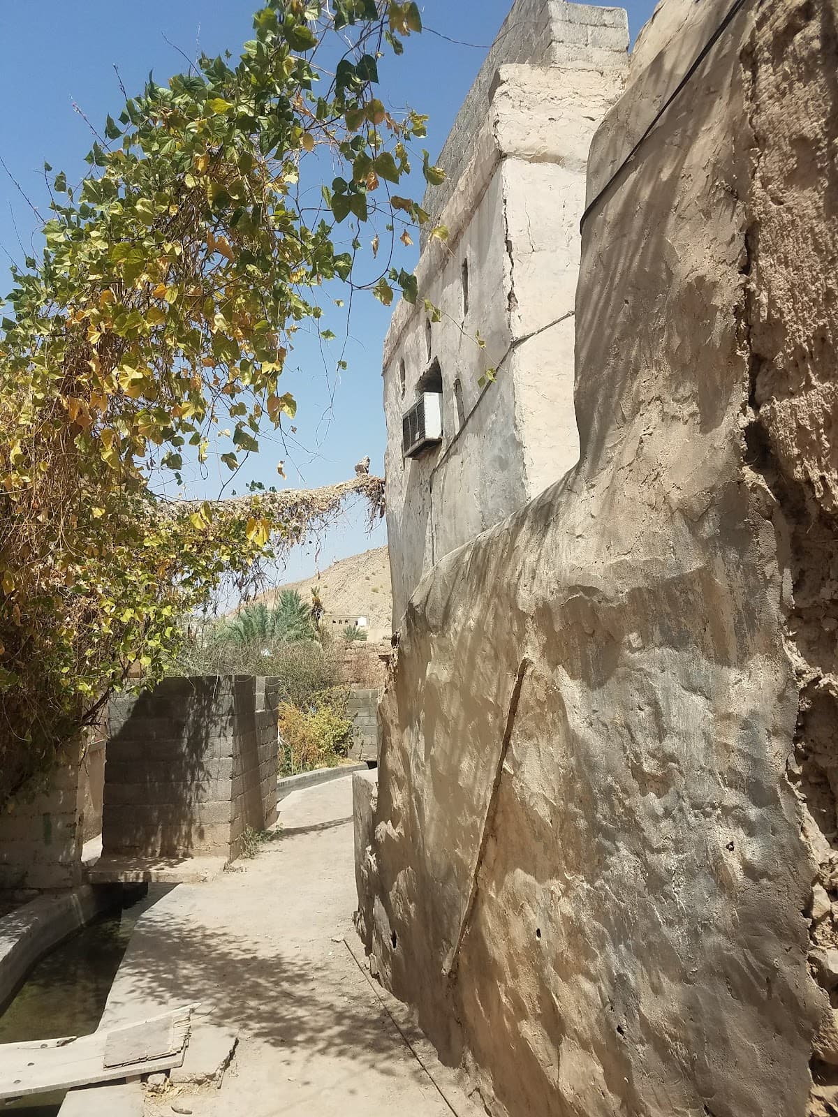 Borket Al Mooz For Primary - Photo 2 of 3