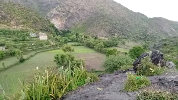 Somraah School - Samail, Ad Dakhiliyah - School in Oman