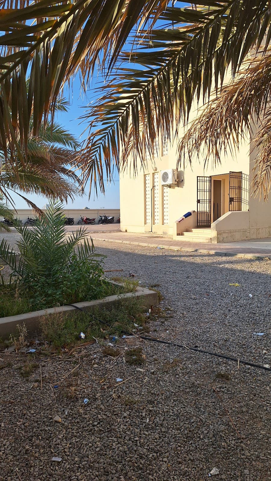 Ausama Bin Zaid For Primary Boys - Photo 3 of 3