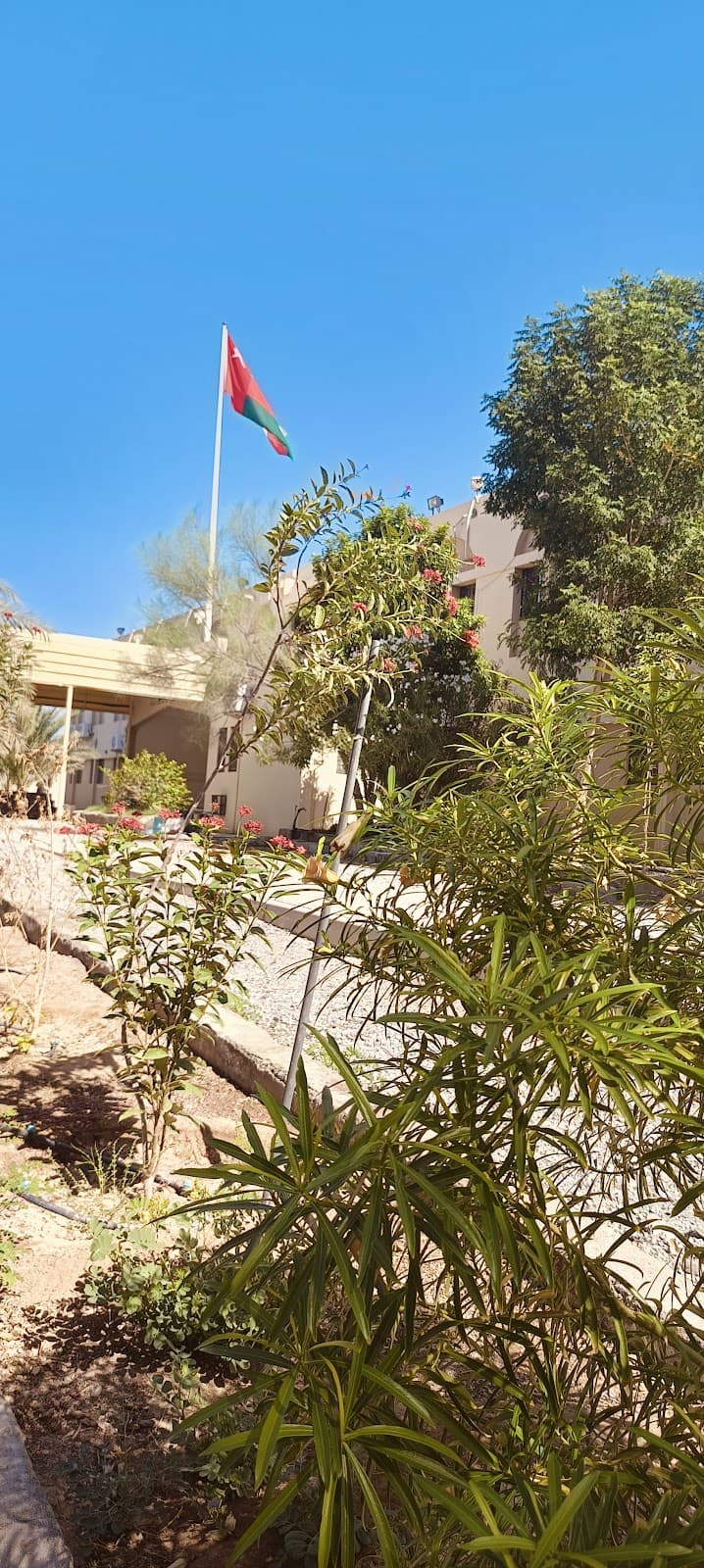 Loubayd Bin Rabeaa School - Photo 3 of 3