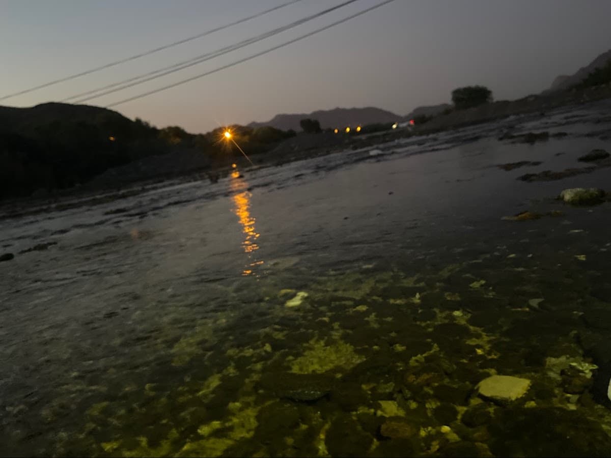 Zainb Bint Qais For Primary - Photo 4 of 3