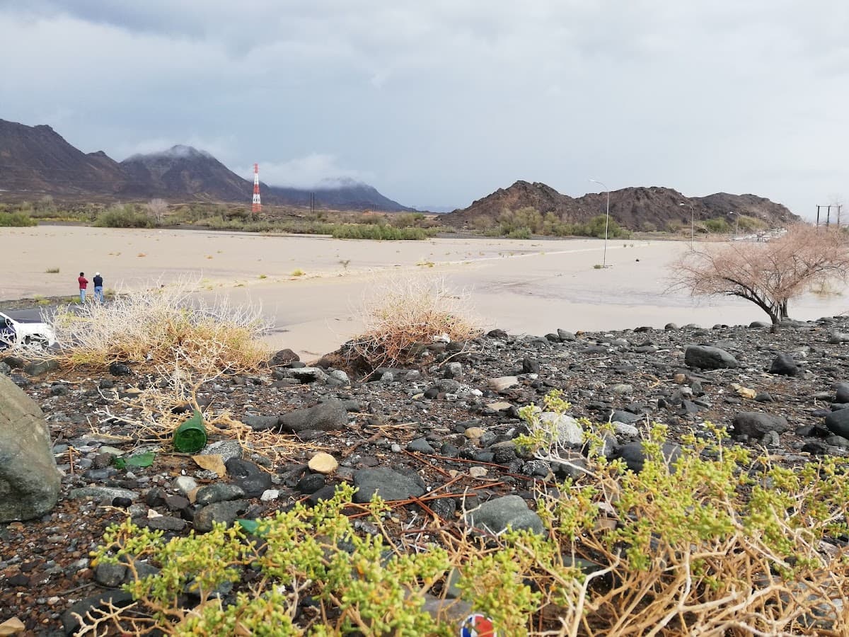 Al-Imam Salim Bin Rashid School - Photo 1 of 3