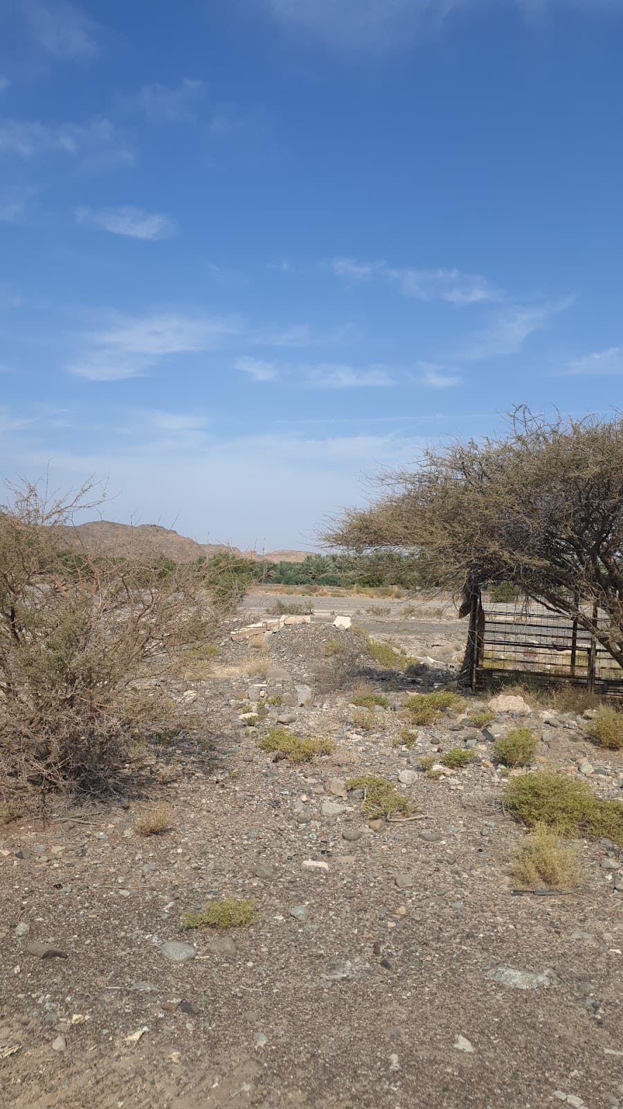 Al-Imam Salim Bin Rashid School - Photo 3 of 3