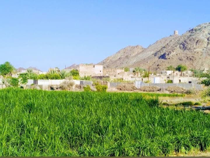 Baad For Primary Girls - Photo 2 of 3