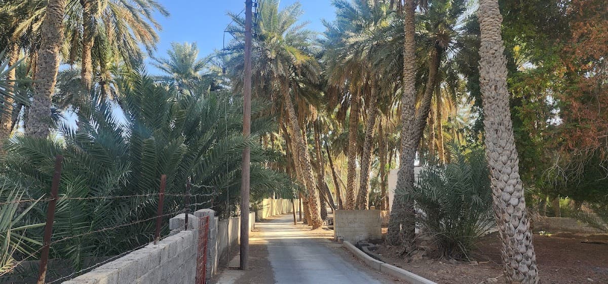 AL-Aflaj School - Photo 2 of 3