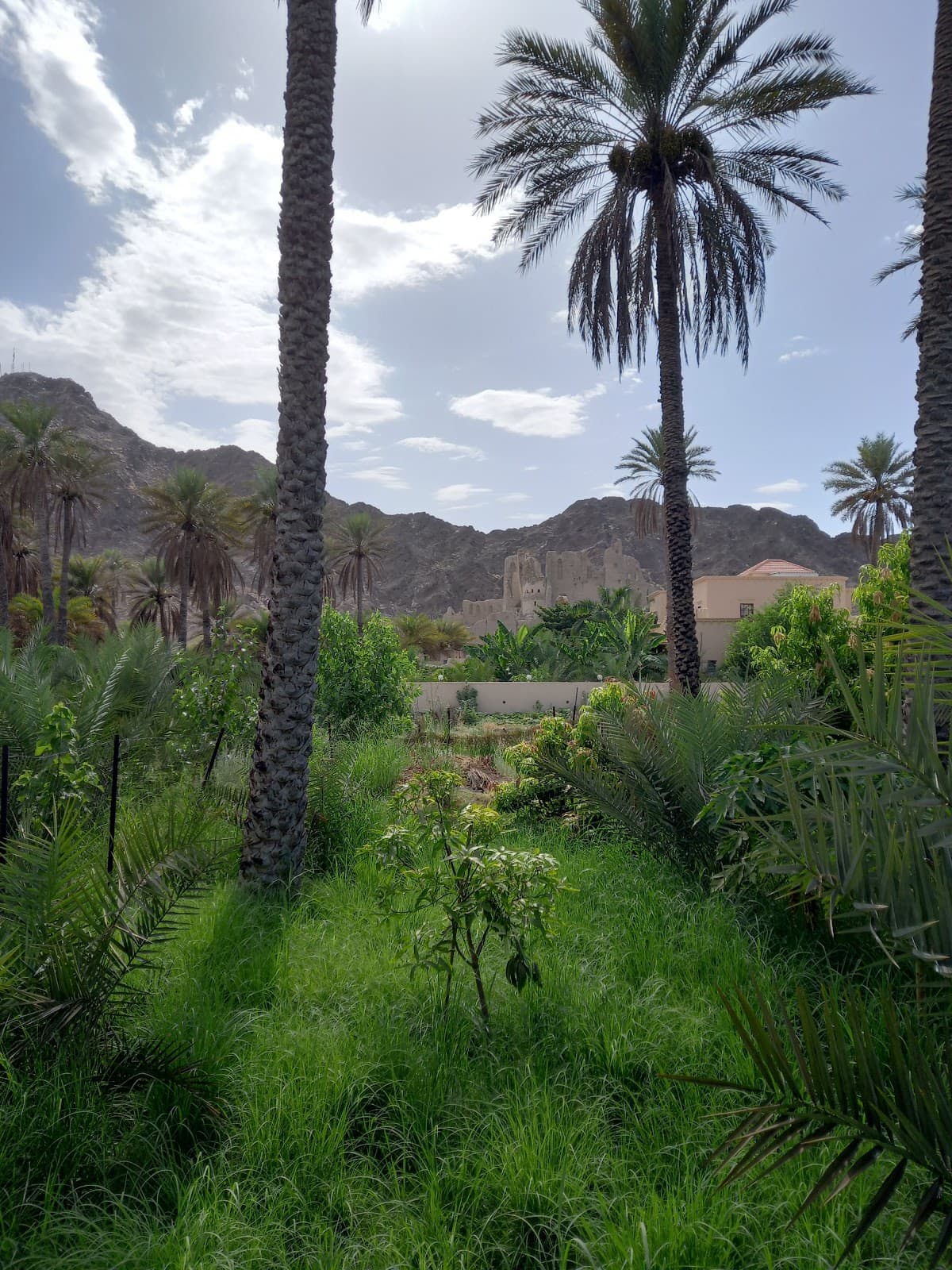 Samad School - Photo 3 of 3