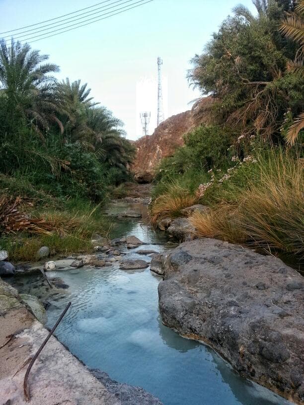 Abu AL-Aas Bin AL-Rabie For Primary Education - Photo 2 of 3