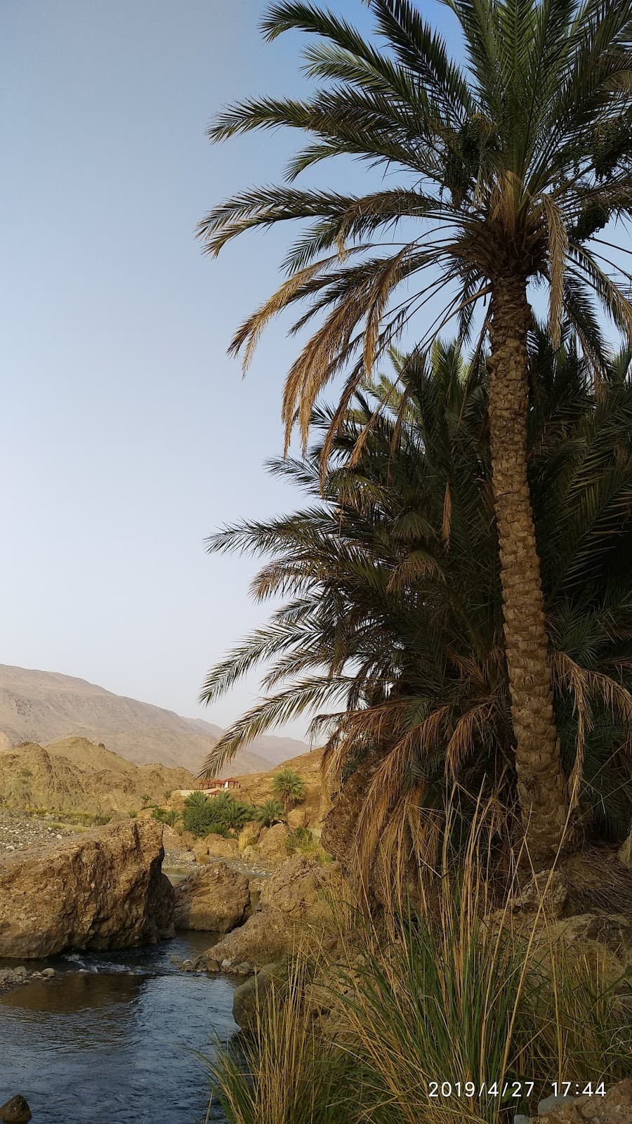 Abu AL-Aas Bin AL-Rabie School - Photo 2 of 3