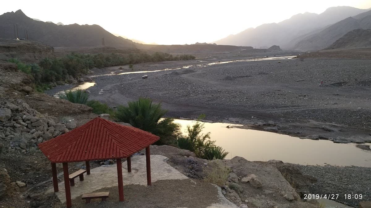 Abu AL-Aas Bin AL-Rabie School - Photo 3 of 3