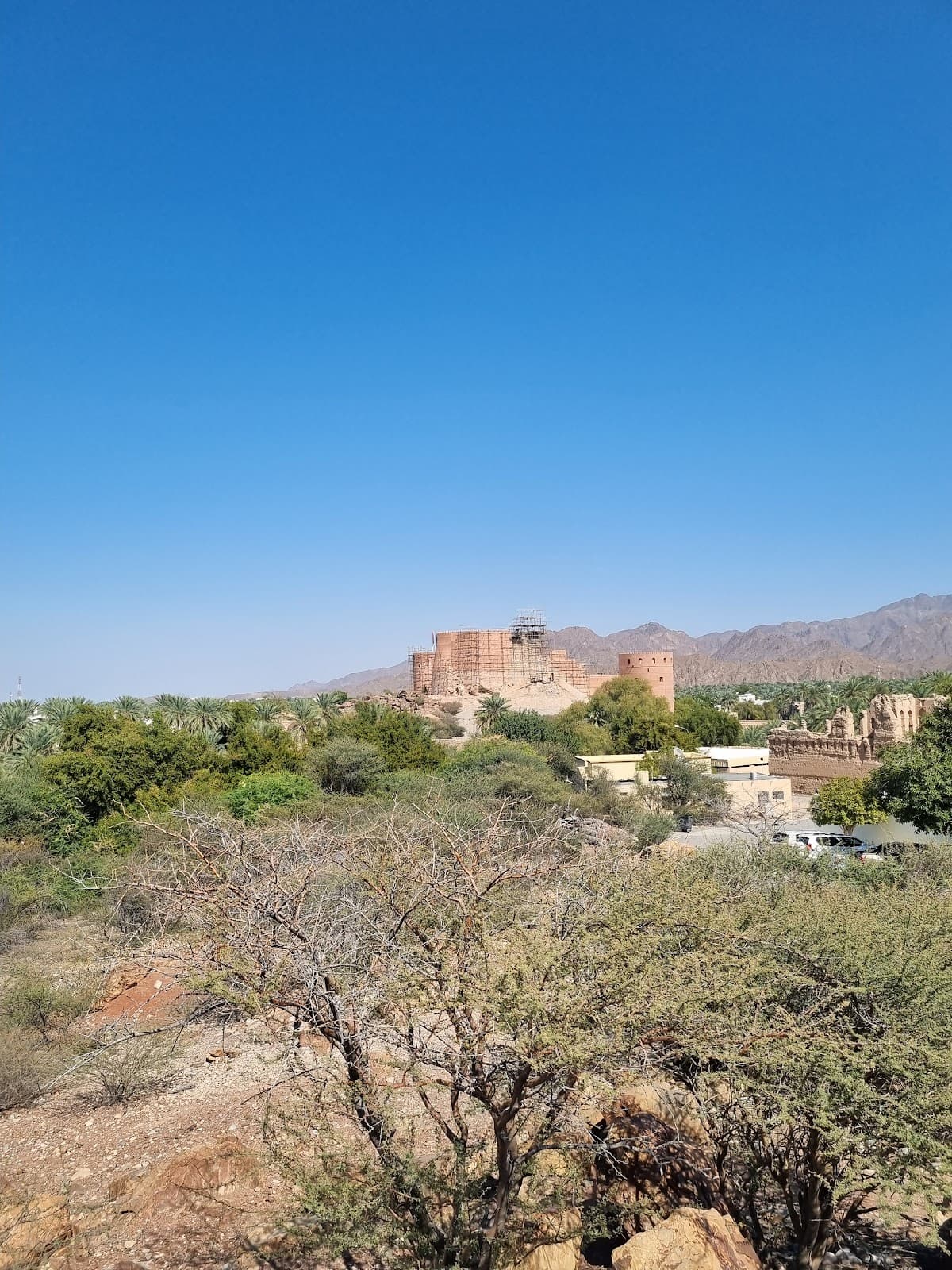 Imam Saif bin Sultan School - Photo 2 of 3