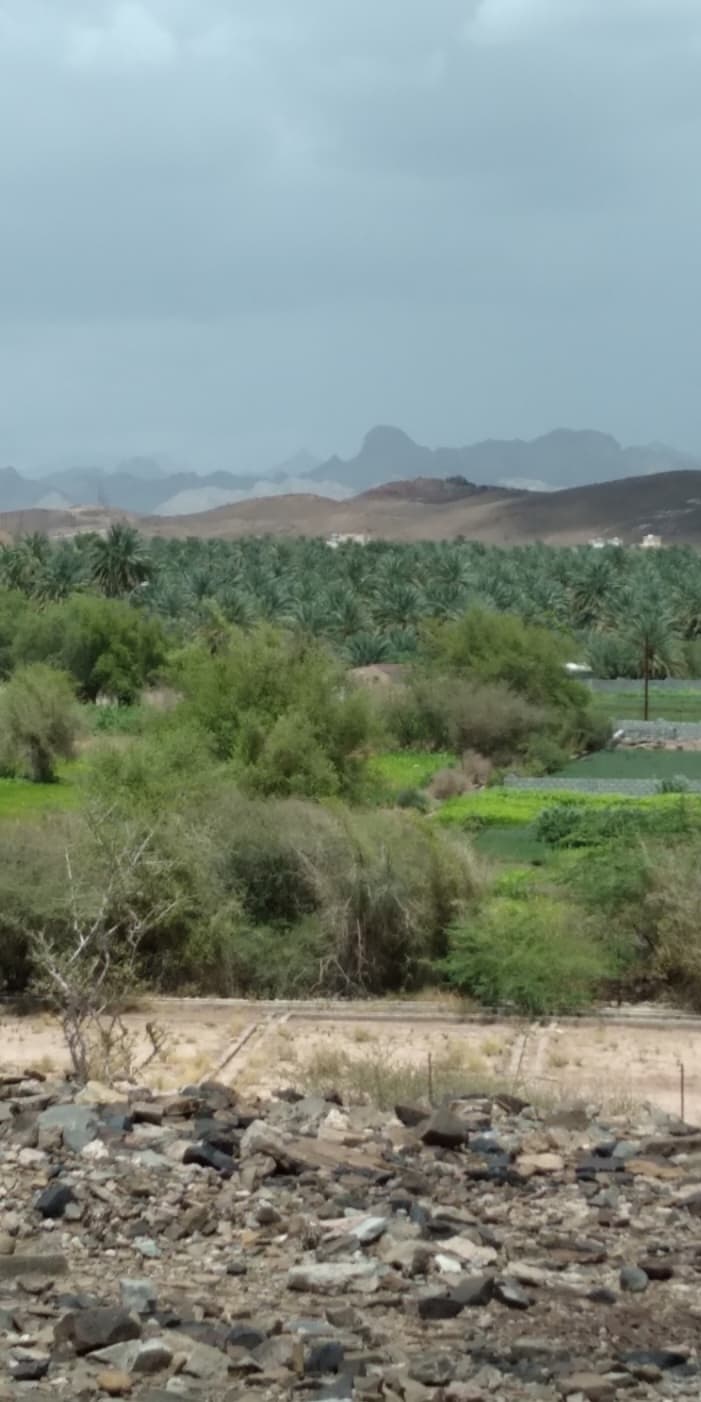 Al Hayal for Primary Education - Photo 2 of 3